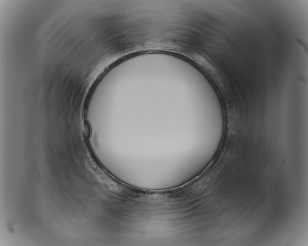 X0000099441280200806061035