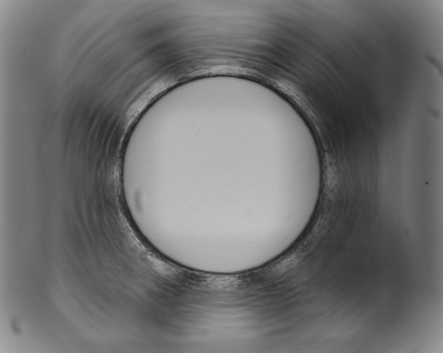 X0000099441282200806061035