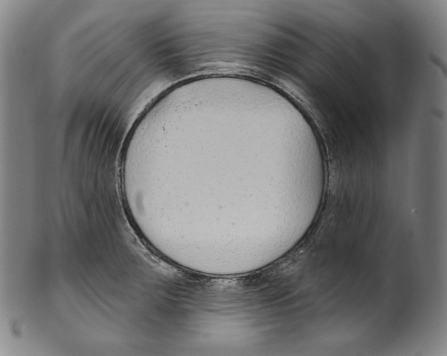 X0000099441283200806061035