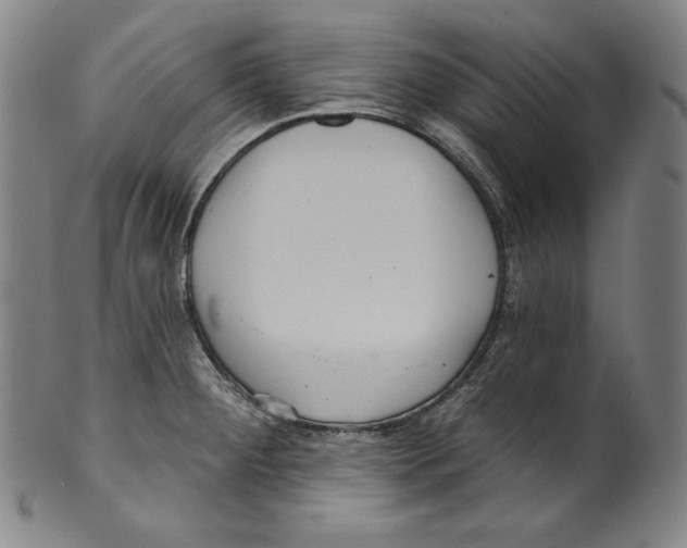 X0000099441284200806061035