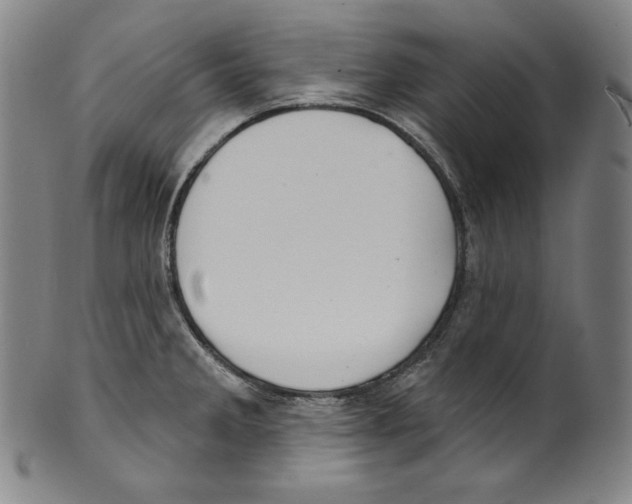 X0000099441285200806061035