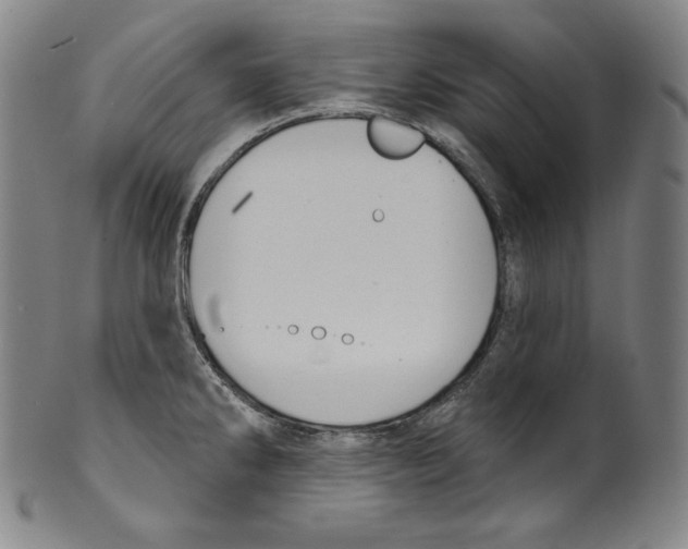 X0000099441286200806061035