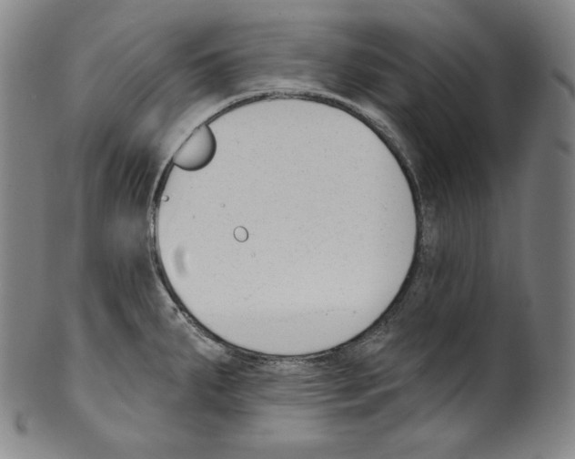 X0000099441287200806061035