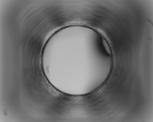 X0000099441288200806061035