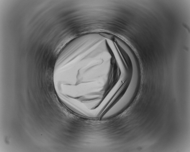 X0000099441289200806061035