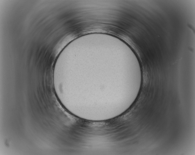 X0000099441290200806061035