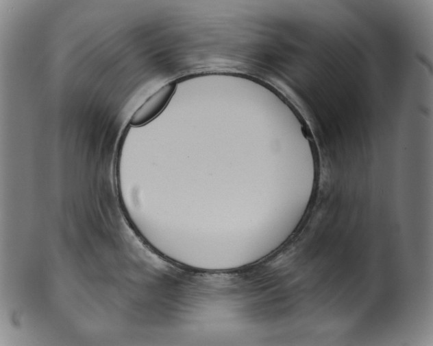 X0000099441293200806061035