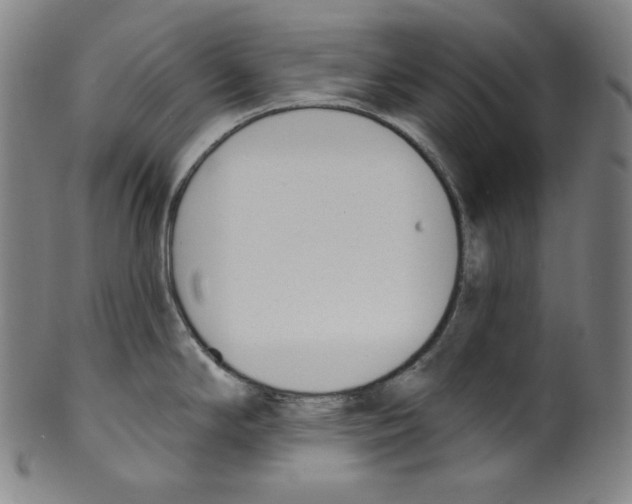 X0000099441294200806061035