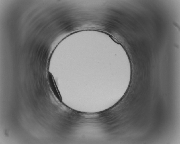 X0000099441296200806061035