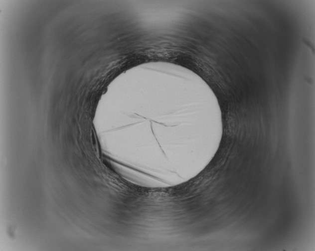 X0000099441297200806061034