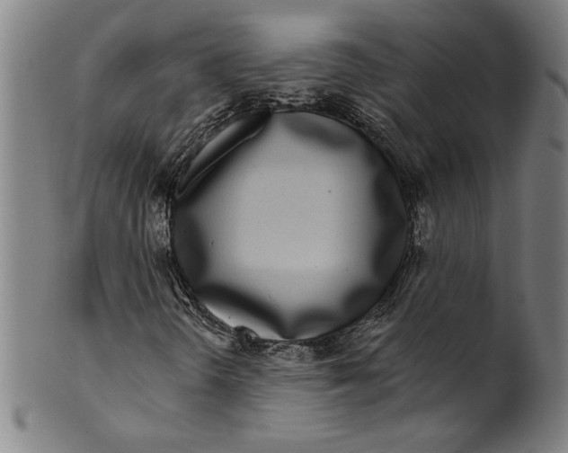 X0000099441298200806061034