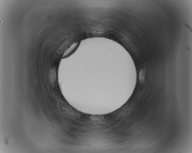 X0000099441299200806061034