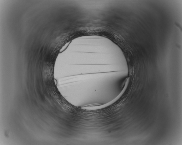 X0000099441300200806061034