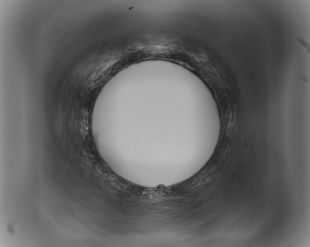 X0000099441301200806061034