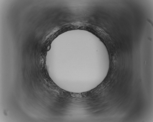 X0000099441302200806061034