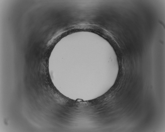 X0000099441304200806061034