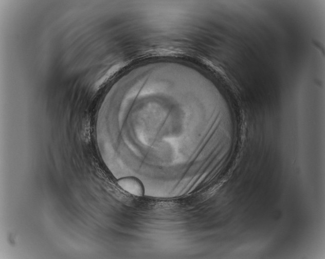 X0000099441306200806061034