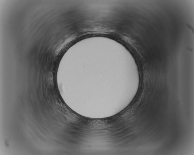 X0000099441307200806061034