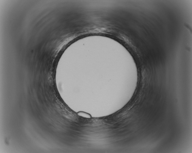 X0000099441308200806061034