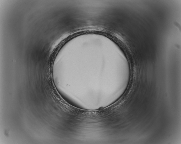 X0000099441310200806061034