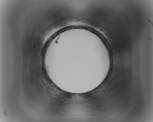 X0000099441311200806061034