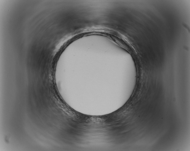 X0000099441312200806061034