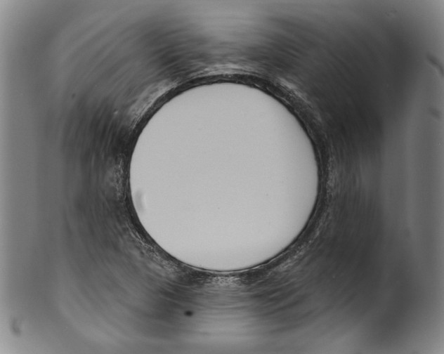 X0000099441313200806061034