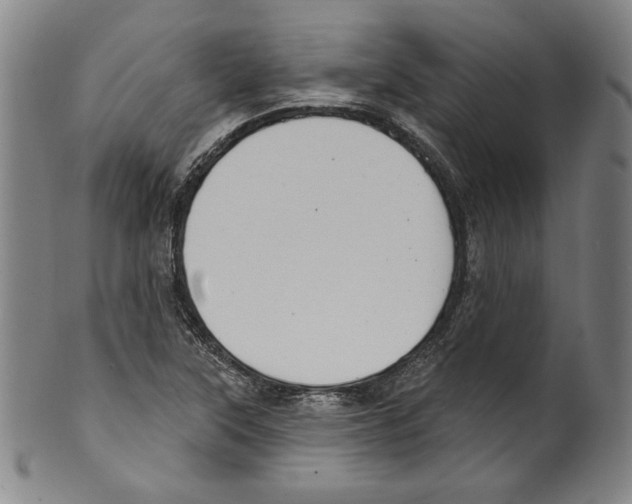 X0000099441315200806061034