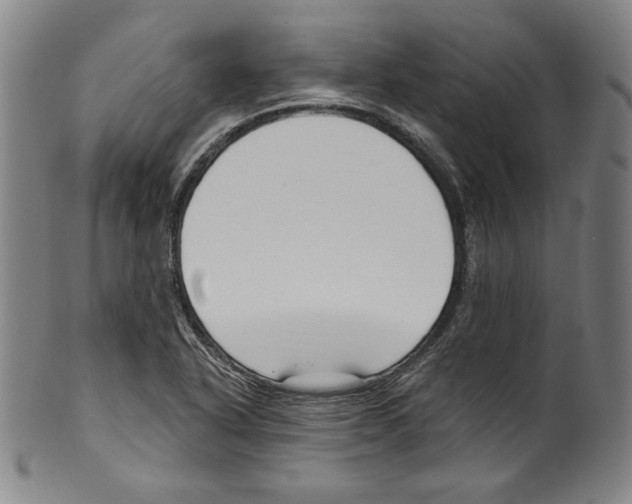 X0000099441318200806061034