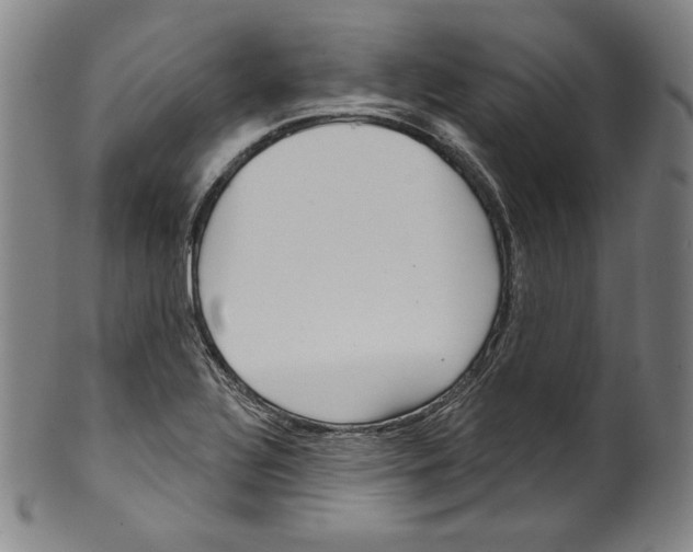 X0000099441320200806061034