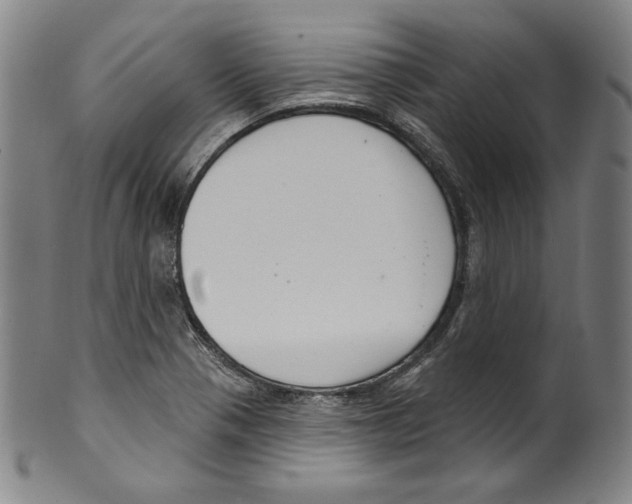 X0000099441321200806061034