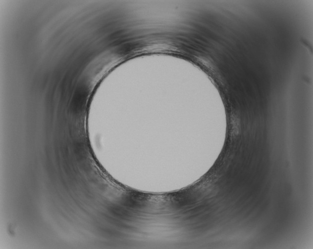 X0000099441322200806061034