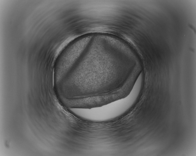 X0000099441323200806061034