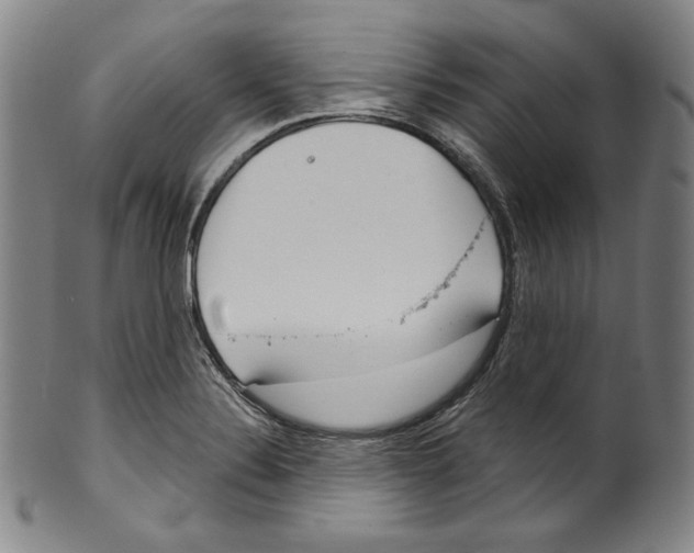 X0000099441324200806061034