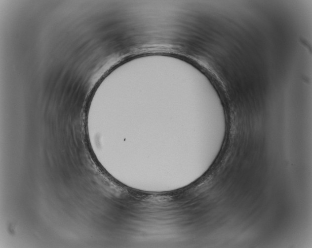 X0000099441325200806061034