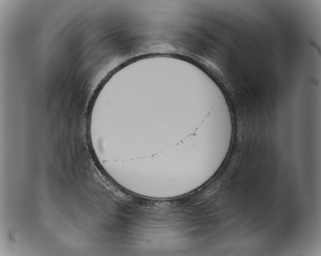 X0000099441326200806061034