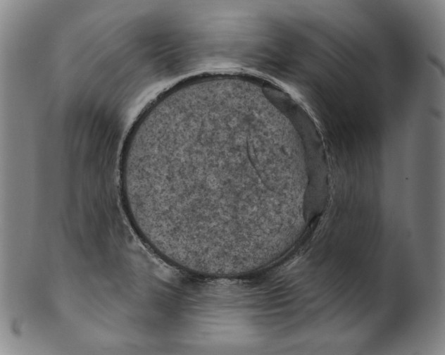 X0000099441327200806061034