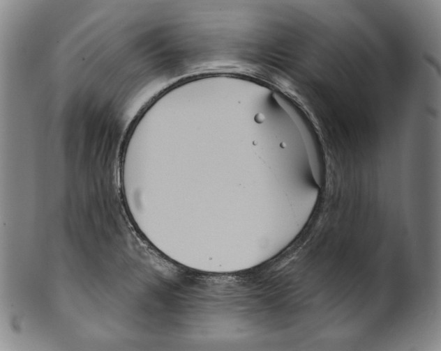 X0000099441328200806061034