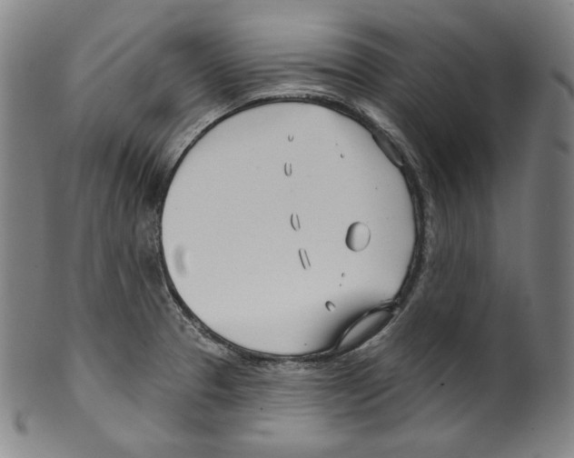 X0000099441329200806061034