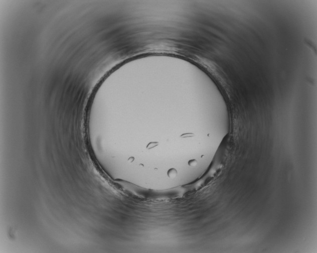 X0000099441331200806061034