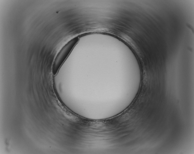 X0000099441332200806061034