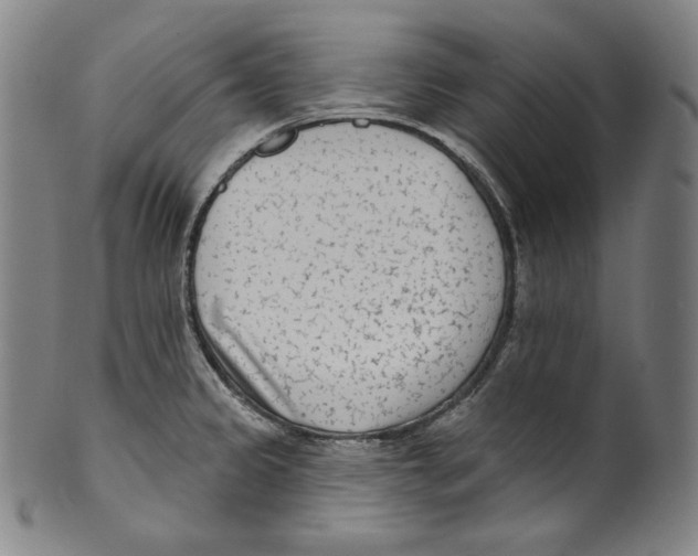 X0000099441333200806061034