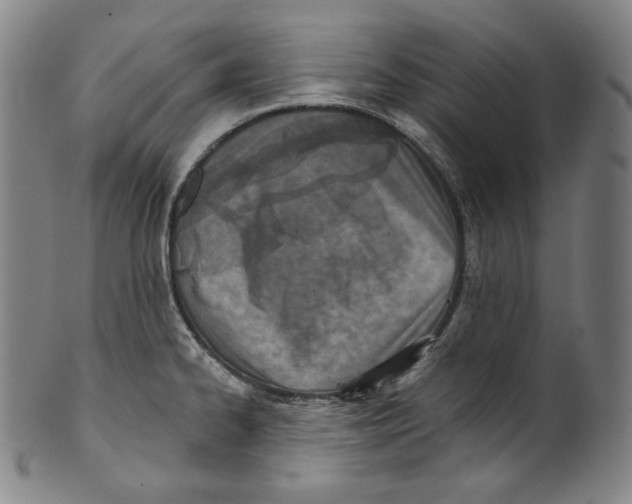 X0000099441334200806061034