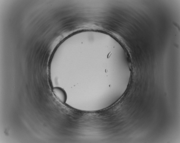 X0000099441335200806061034