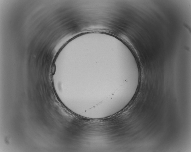 X0000099441336200806061034