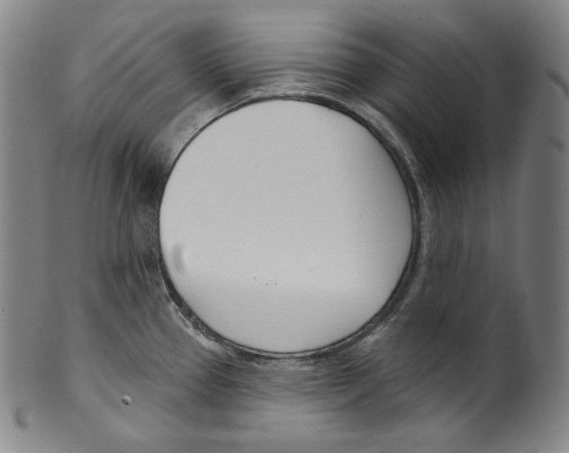 X0000099441337200806061034