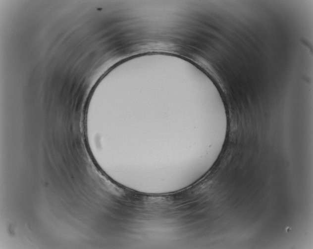 X0000099441339200806061034