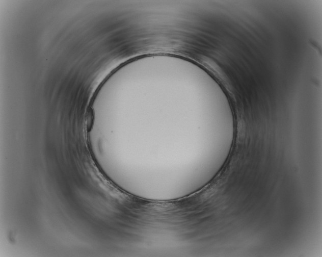 X0000099441340200806061034