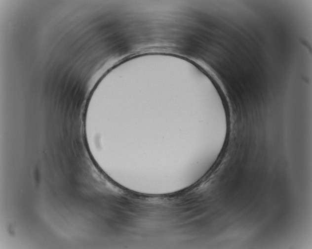 X0000099441341200806061034