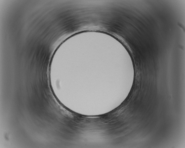 X0000099441343200806061035